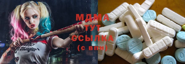 индика Чегем