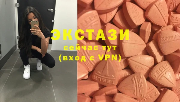 сатива Чердынь
