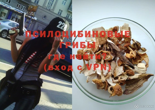 индика Чегем