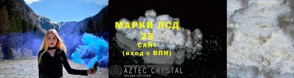 сатива Чердынь