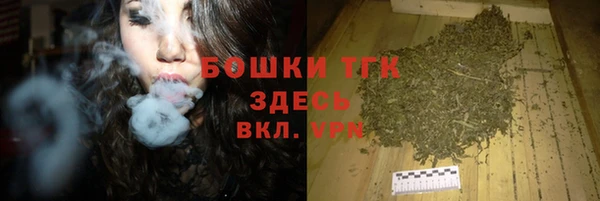 сатива Чердынь