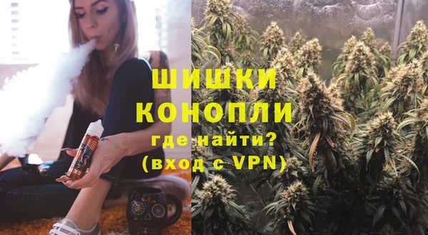 сатива Чердынь