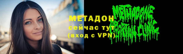 индика Ленск