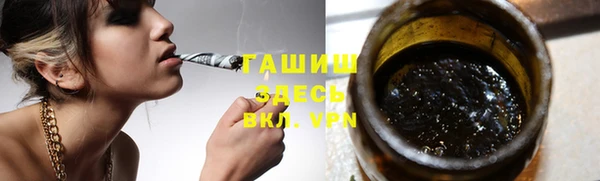 сатива Чердынь