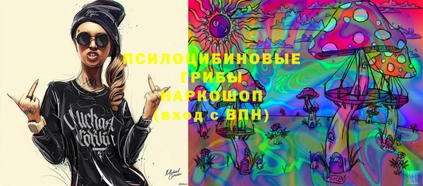 сатива Чердынь