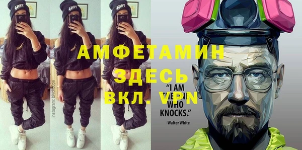 индика Ленск
