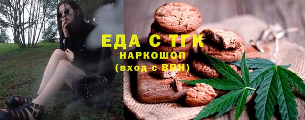индика Чегем