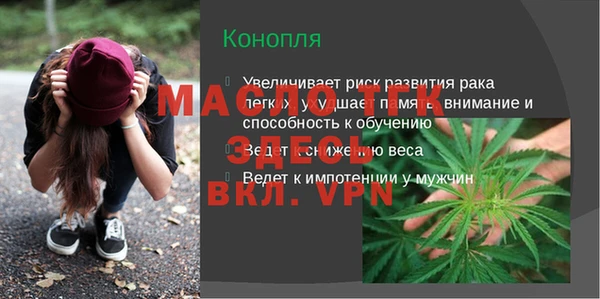 индика Чегем