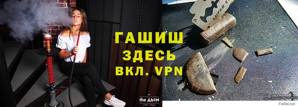 сатива Чердынь