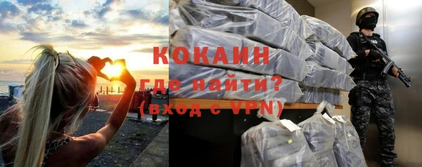 индика Чегем
