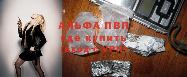 сатива Чердынь