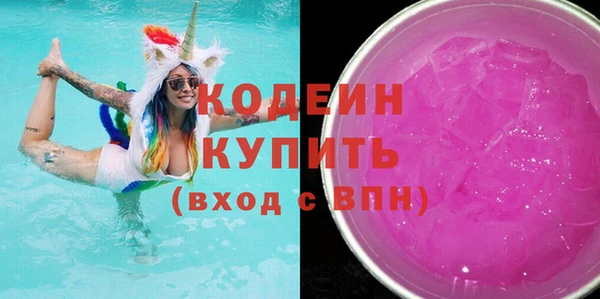 индика Чегем