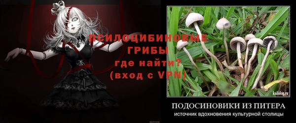 альфа пвп Чекалин