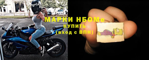 сатива Чердынь