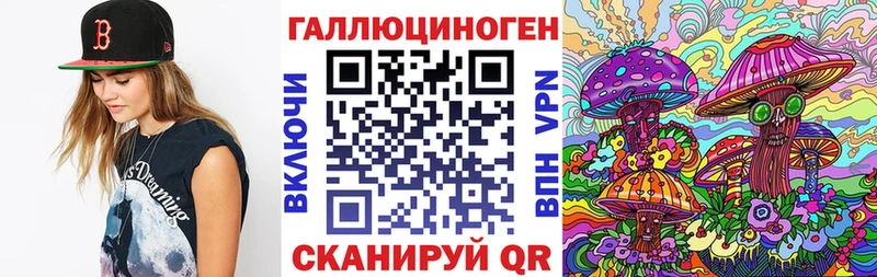 где можно купить наркотик  Ачхой-Мартан  Псилоцибиновые грибы мухоморы 
